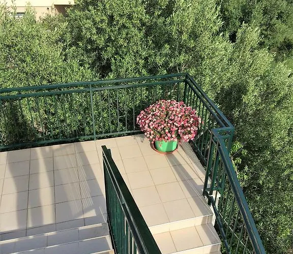 Lilly ז'אבוריץ'