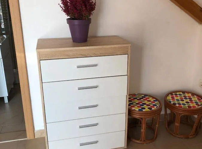 Lilly ז'אבוריץ'